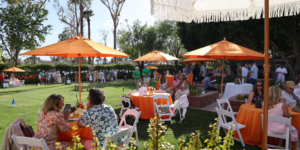 Croquet for a Cure blog banner