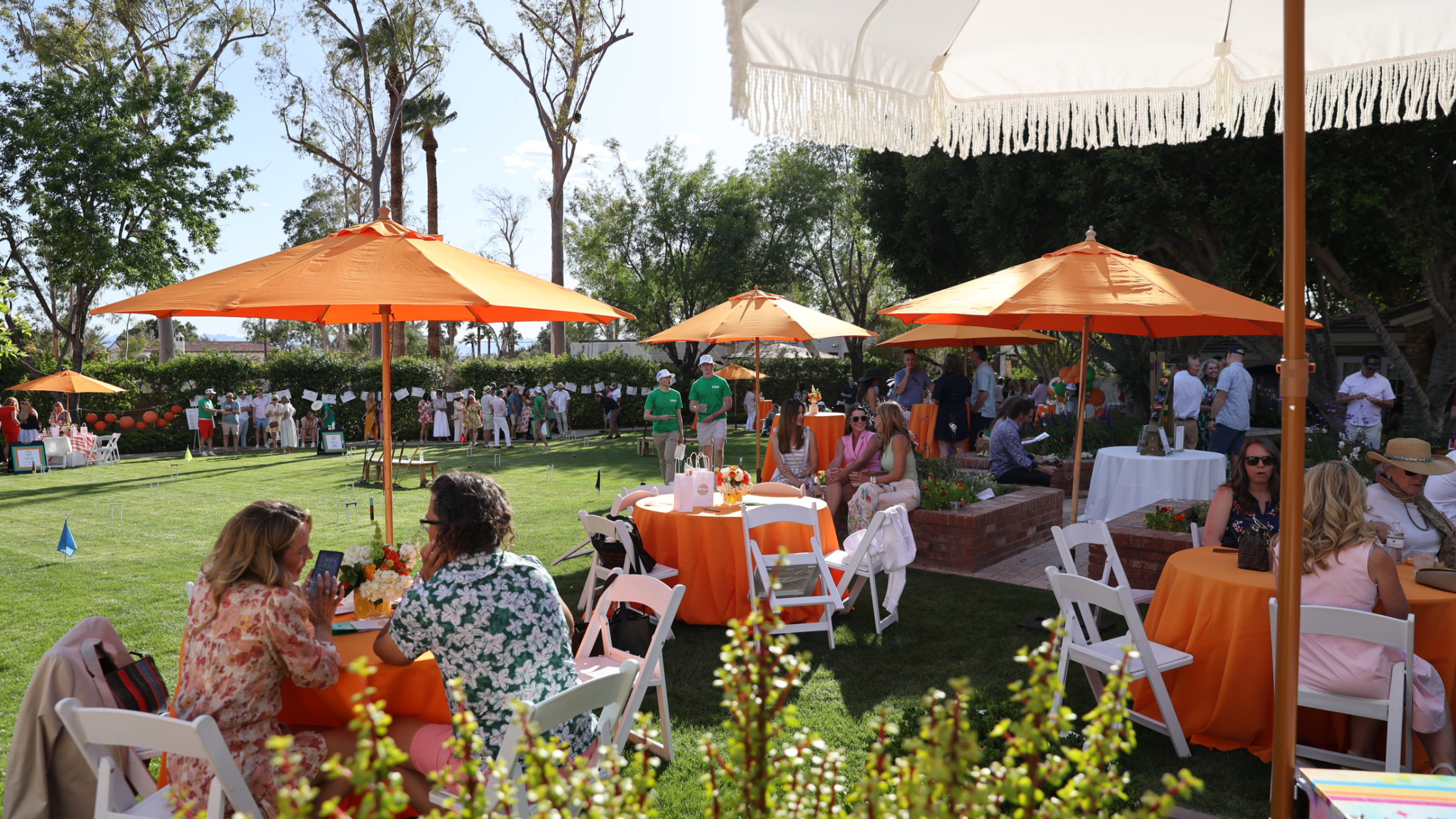 Croquet for a Cure blog banner